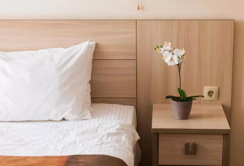 Отель Posadskaya