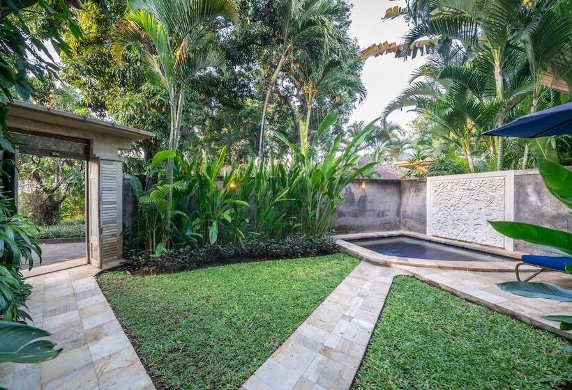 Отель The Lovina