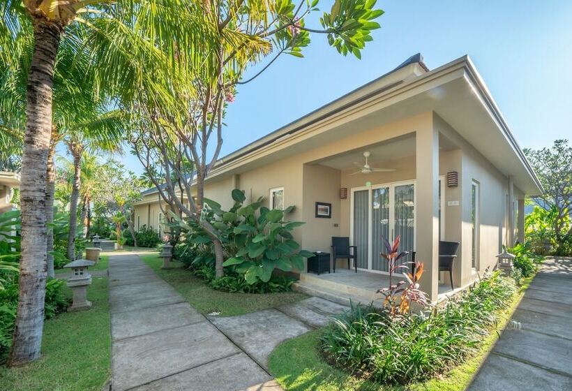 Отель The Lovina