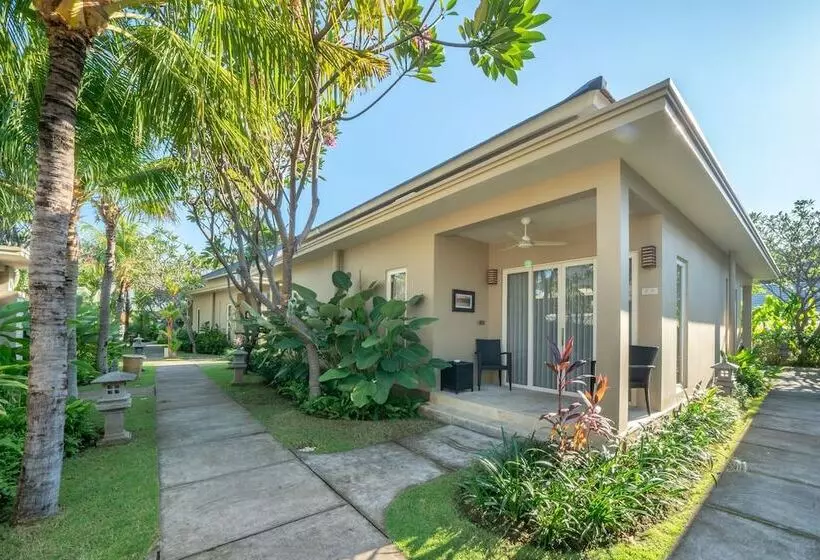 Отель The Lovina