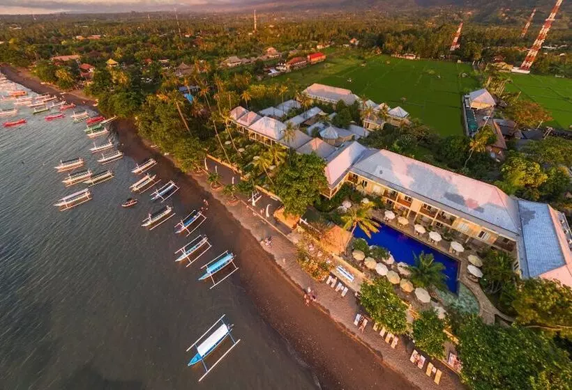 Отель The Lovina