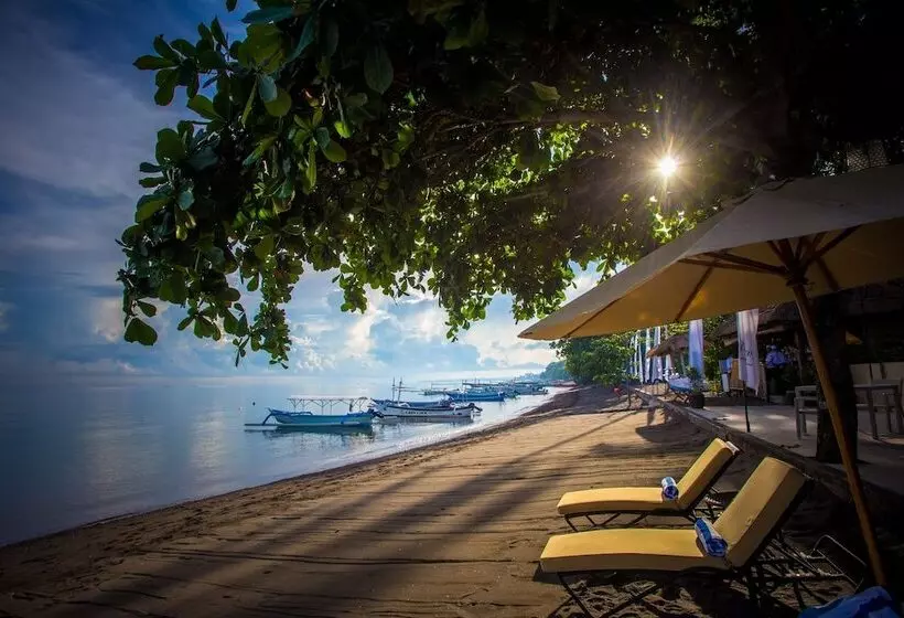 Отель The Lovina