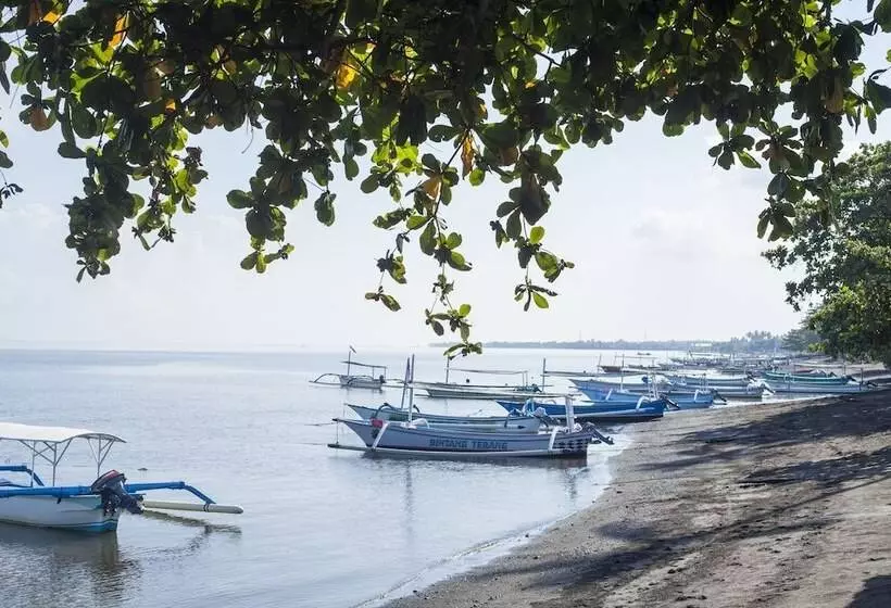 Отель The Lovina