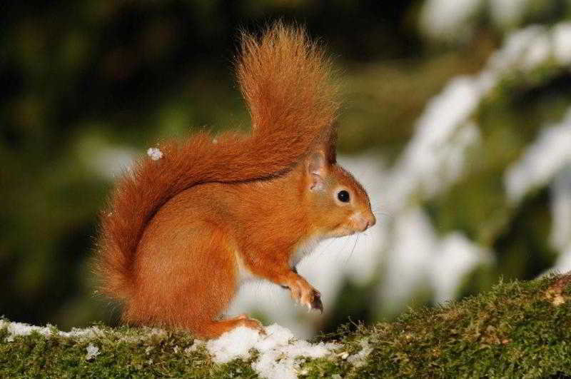 Hotel Cavens Country House, Dinner Inclusive!