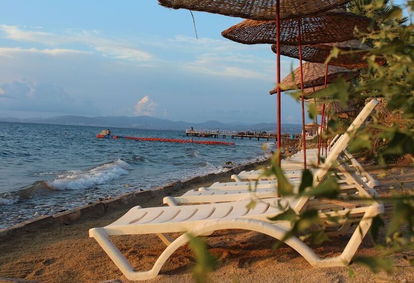 בית מלון כפרי Green Gold