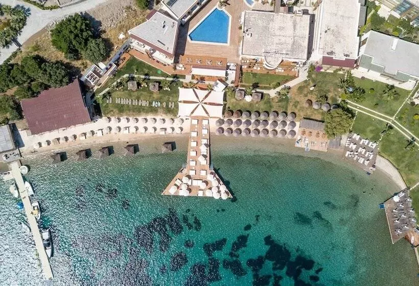 בית מלון כפרי The Highlight Bodrum