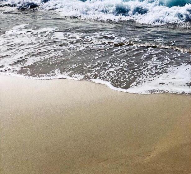 בית מלון כפרי Palm Beach