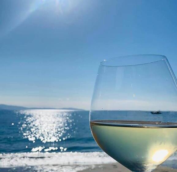 בית מלון כפרי Palm Beach