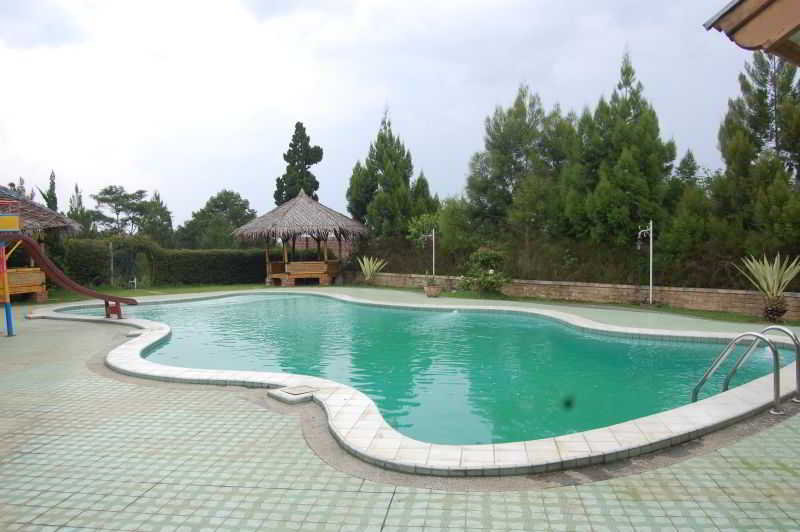 Hotel Radiant Bamboo