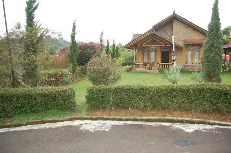 Hotel Radiant Bamboo