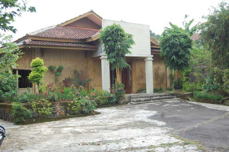 Hotel Radiant Bamboo