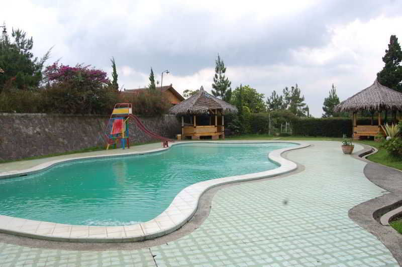 Hotel Radiant Bamboo