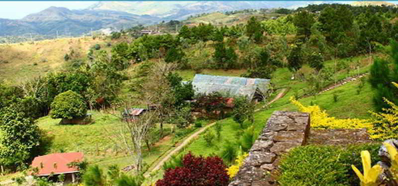 فندق Ten Cents To Heaven