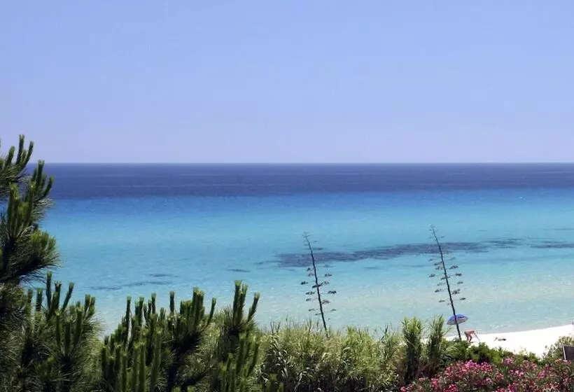 Отель Th Costa Rei   Free Beach Resort