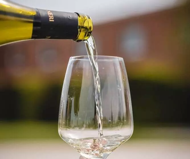 酒店 Villa Neri Resort & Spa