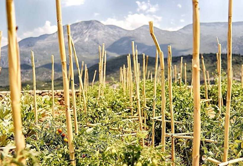 בית מלון כפרי Euphoria Suites