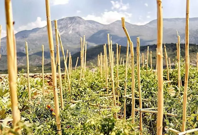 Hotelli Euphoria Suites