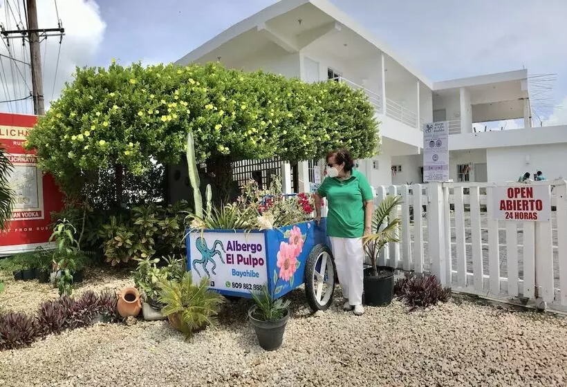 Bayahibe Hotel El Pulpo