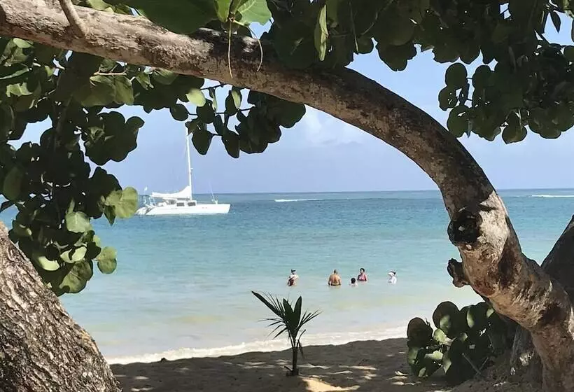 Bayahibe Hotel El Pulpo