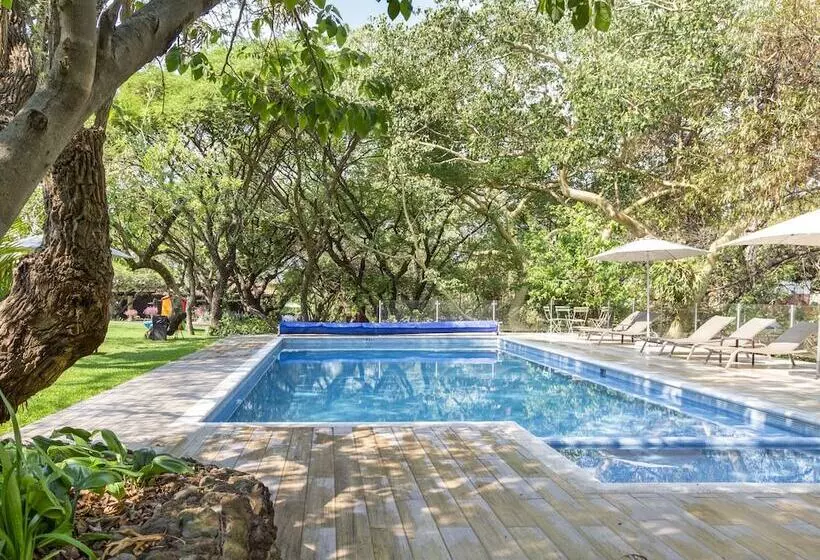 Hotelli Amate Del Rio