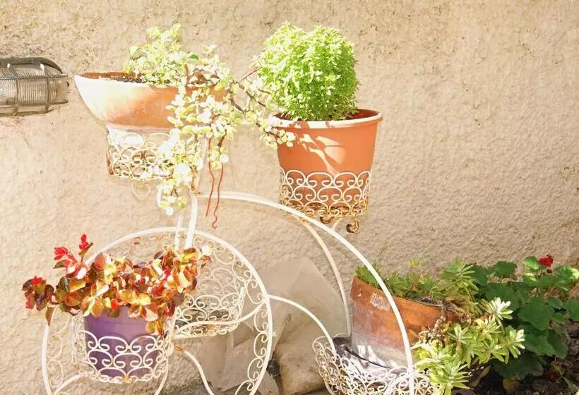 ホテル Iliotropio Studios