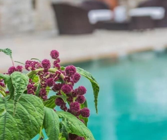 فندق Villa Stefania Dream