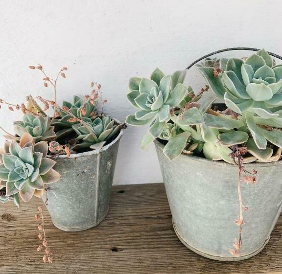 Пансион The Richmond Café And Rooms