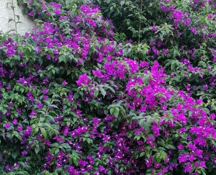 צימר Casa Di Anna