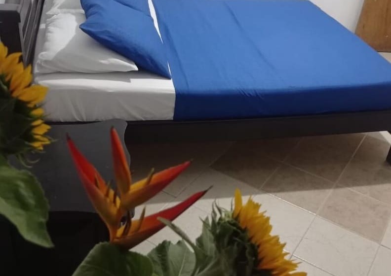 Hotel Plaza Calarcá