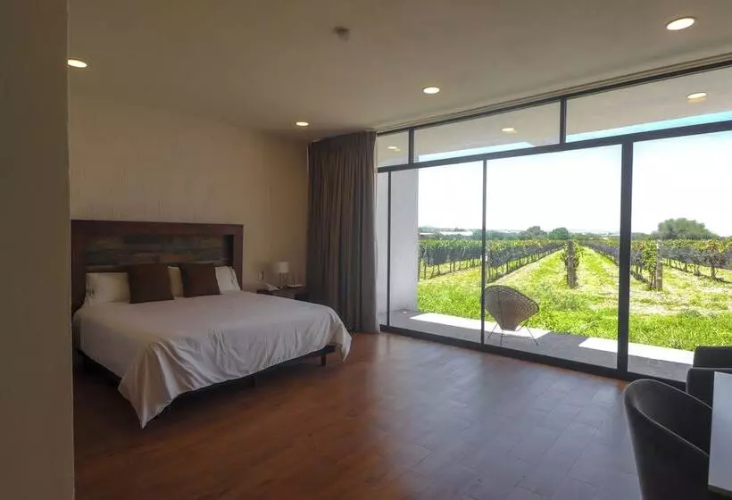 ホテル Casa Diamante Viñedos