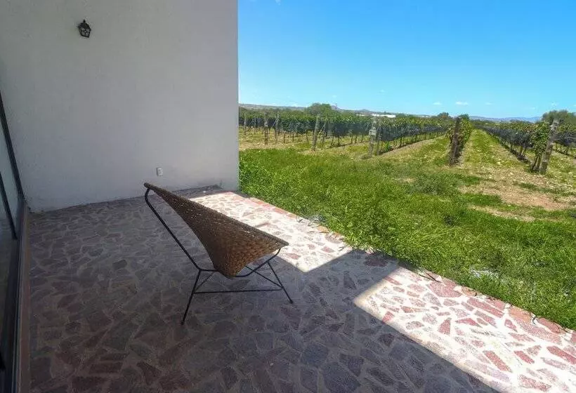 ホテル Casa Diamante Viñedos