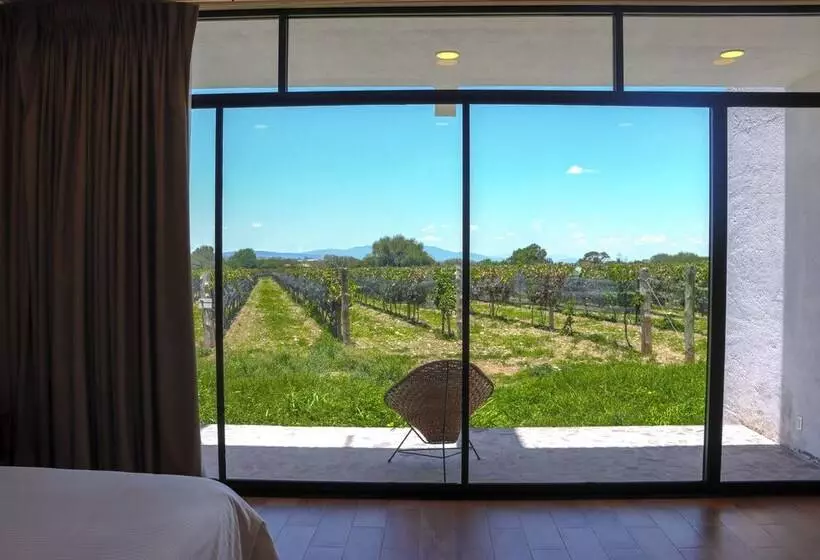 ホテル Casa Diamante Viñedos