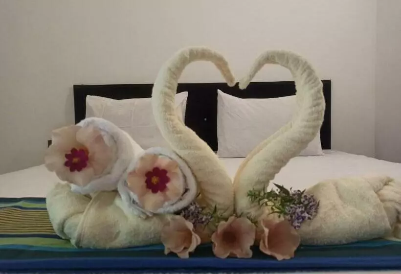 پانسیون Trio Elephant