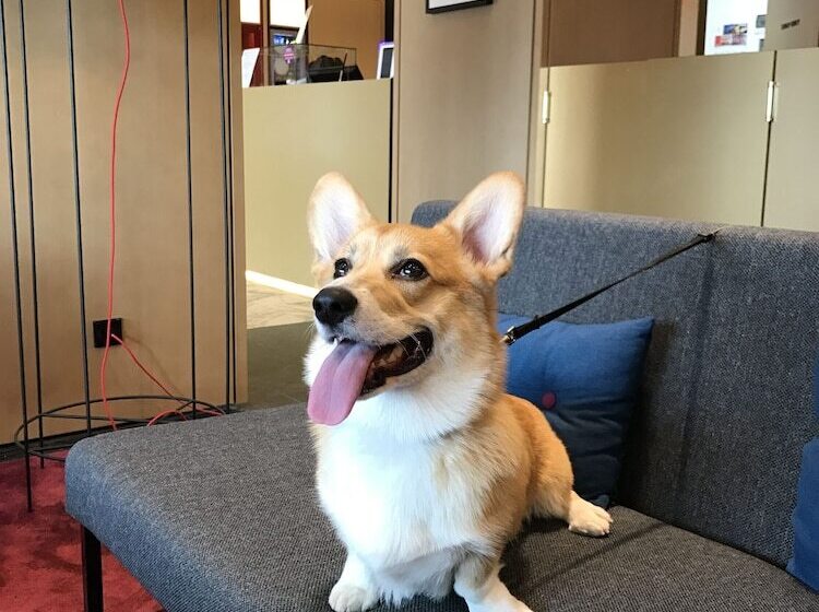 Azimut Hotel Nizhniy Novgorod