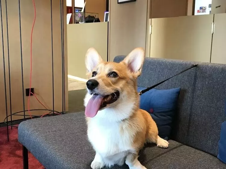 Azimut Hotel Nizhniy Novgorod