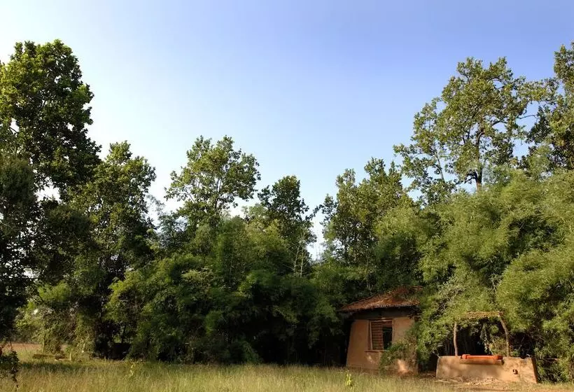 호텔 Mahua Kothi Bandhavgarh - A Taj Safari Lodge
