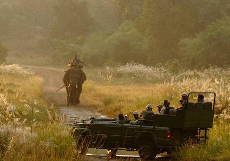 Отель Mahua Kothi Bandhavgarh - A Taj Safari Lodge