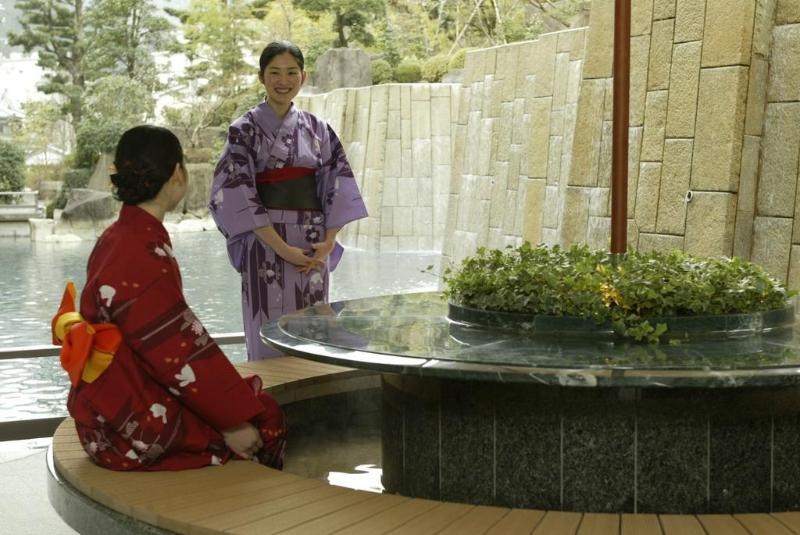 酒店 Ryokan Otani Sanso