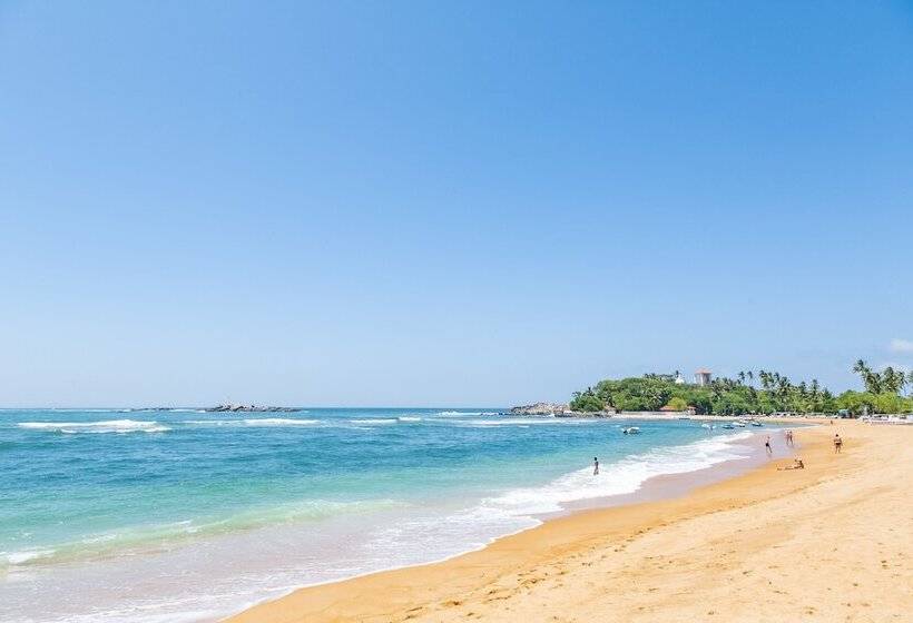 酒店 Thambapanni Retreat