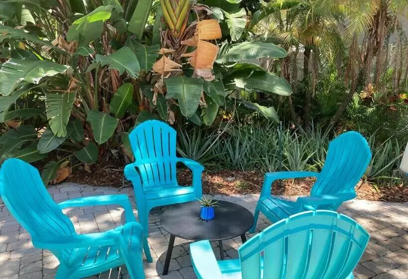 3gulls Inn Ozona Boutique Hotel Steps From Restaurants & Brewery Swimspa Pool Pet Friendly