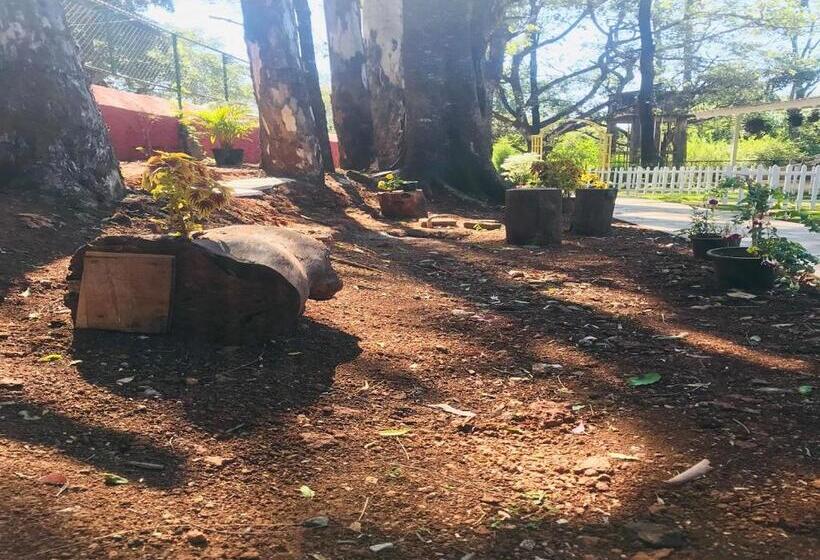 Отель Citadel Resort