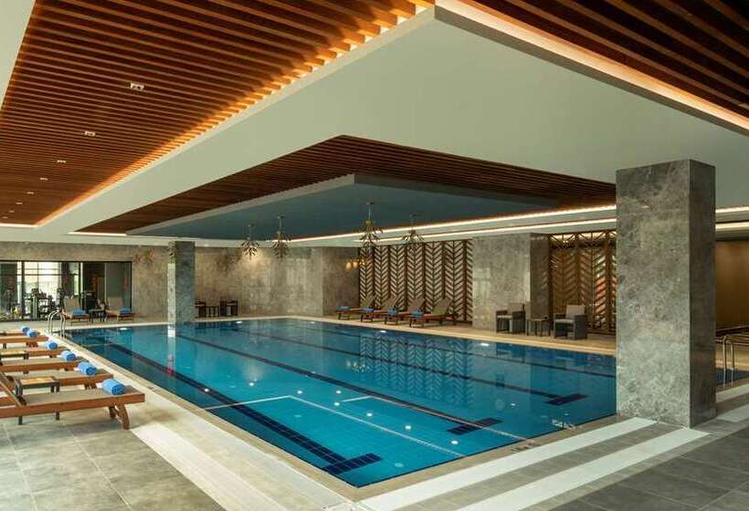 ホテル Doubletree By Hilton Manisa