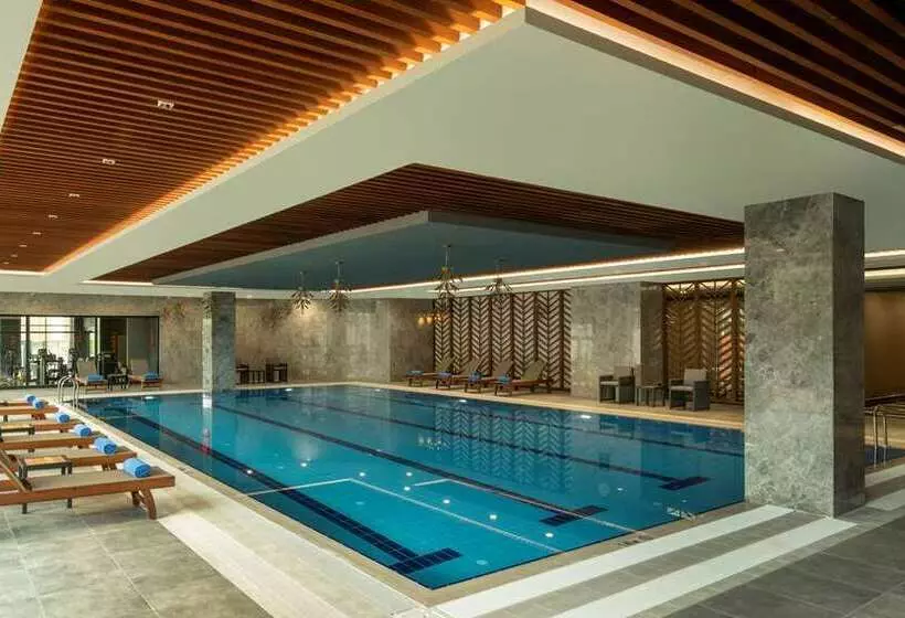 ホテル Doubletree By Hilton Manisa