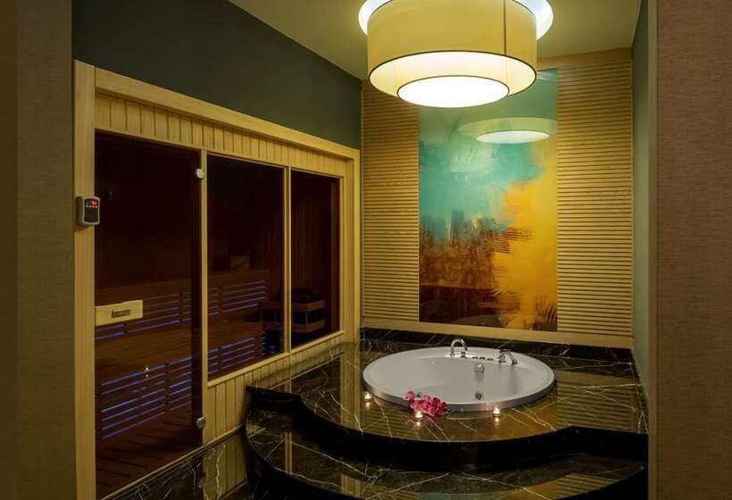 ホテル Doubletree By Hilton Manisa