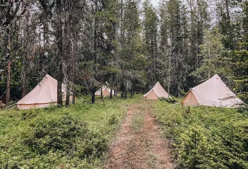 ホテル Wander Camp Glacier