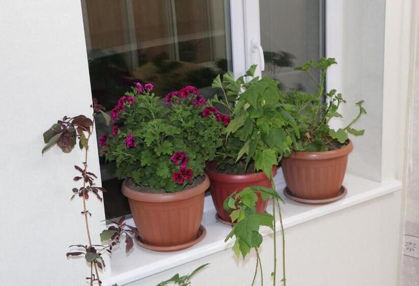 پانسیون Guest House Semetei