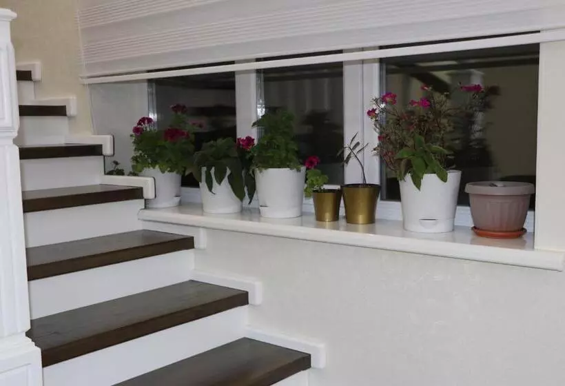 پانسیون Guest House Semetei