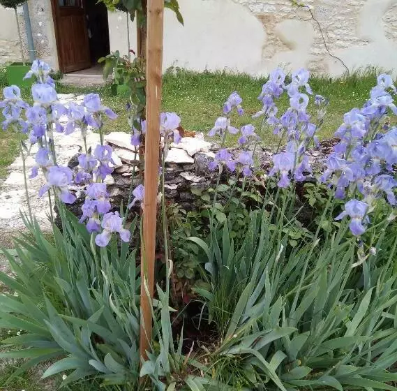 Aamiaismajoitus (B&B) Le Pardès Bnb