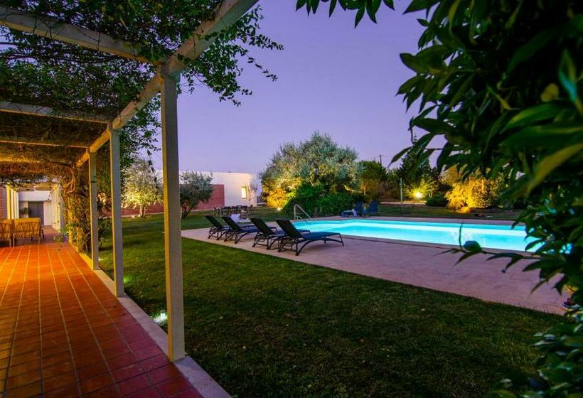 호스텔 Vale Pisco