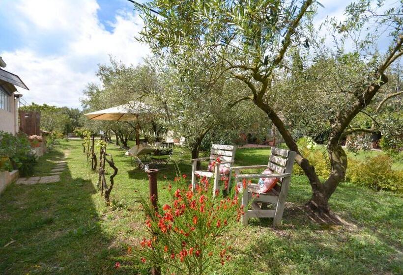 Bed and Breakfast Le Cabanon De L Olivette